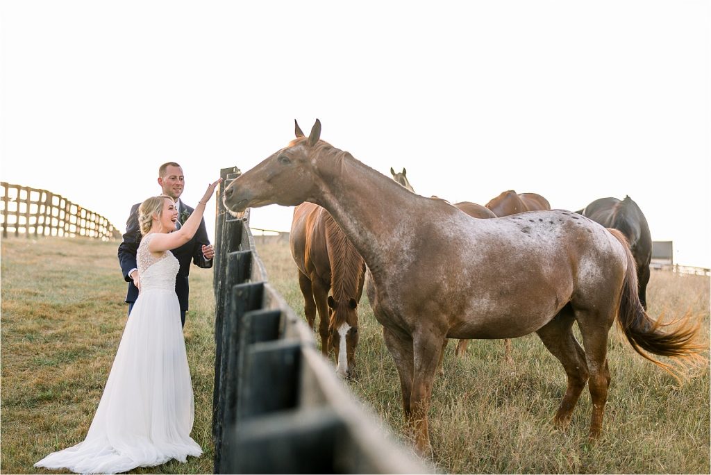 Bride and Groom Photos with Horses