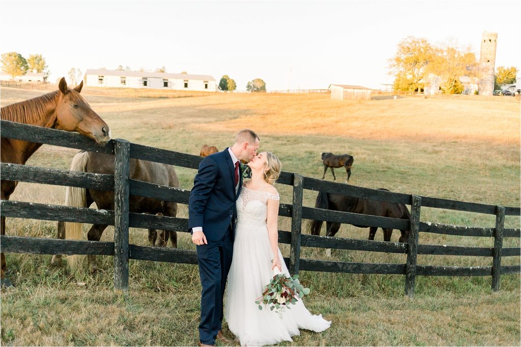 Horses in Wedding Photos